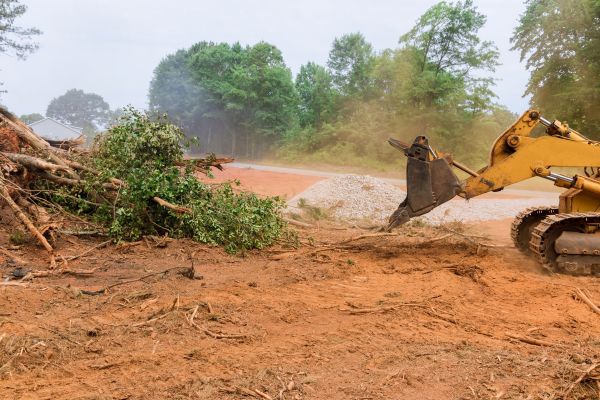 Ground Clearing in Santa Rosa