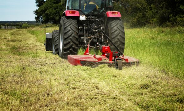 Brush Clearing Service in Santa Rosa