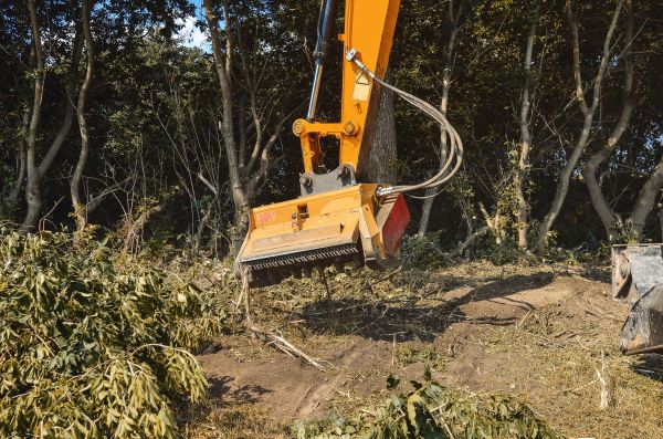 Brush Removal Service in Santa Rosa