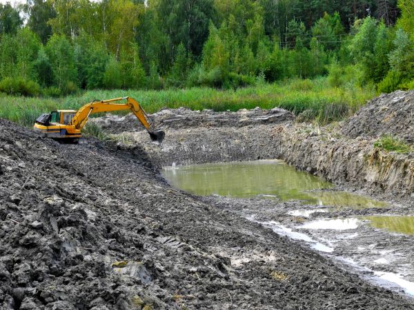 Cost of Lake Lot Clearing in Santa Rosa