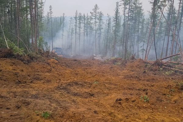 Cost of Hill Clearing in Santa Rosa