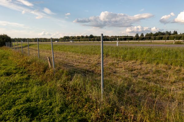 Cost of Property Line Clearing in Santa Rosa