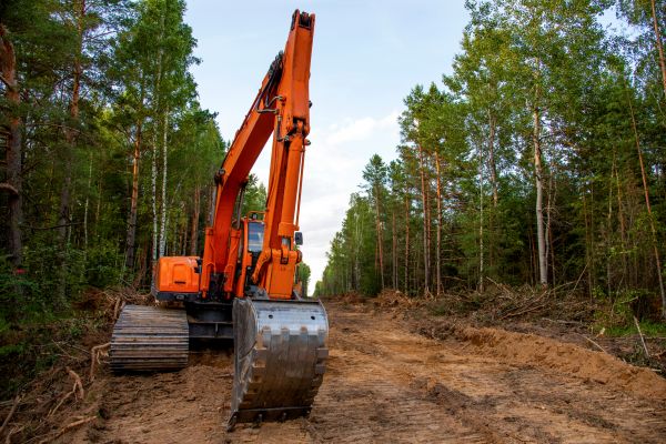 Cost of Backhoe Land Clearing in Santa Rosa