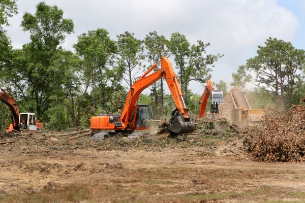 Cost of Commercial Lot Clearing in Santa Rosa