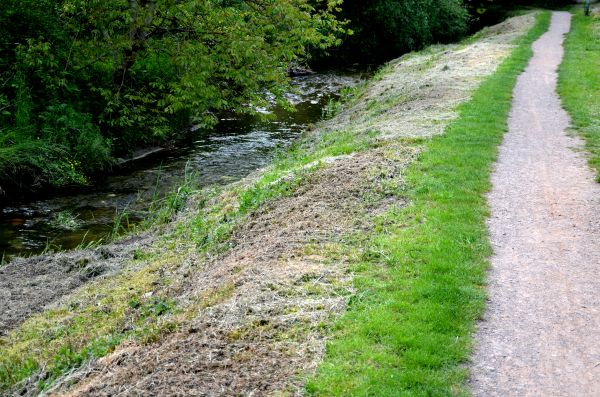 Cost of Trail Cutting in Santa Rosa