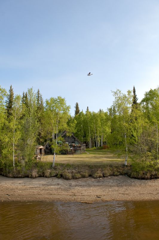 Easement Land Clearing