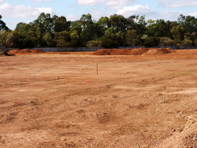 Clearing a Residential Lot